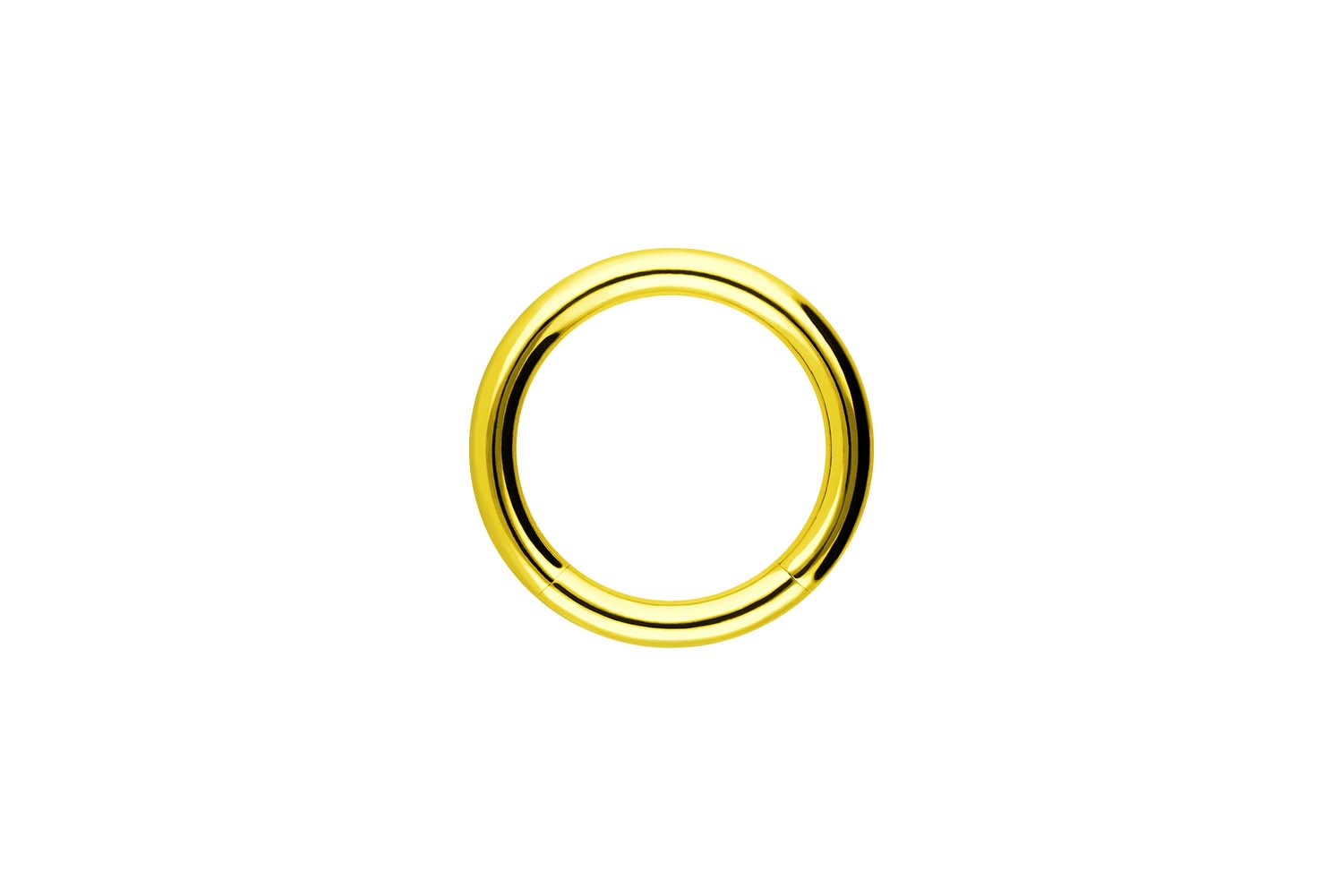 Chirurgenstahl Segmentring von Piercingline